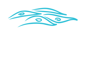 ADC_Logo_Eagan_Color_White_Text_Transparent