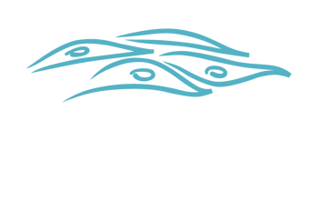 ADC_logo_DALLAS_whitetext-01
