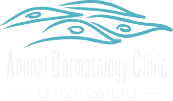 ADC_logo_EATONTOWN_whitetext