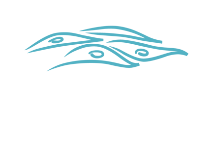ADC_logo_SUMMERVILLE_whitetext-1