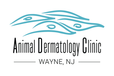 ADC_logo_WAYNE-01-1