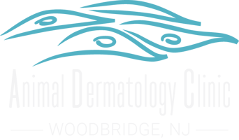 ADC_logo_WOODBRIDGE_whitetext
