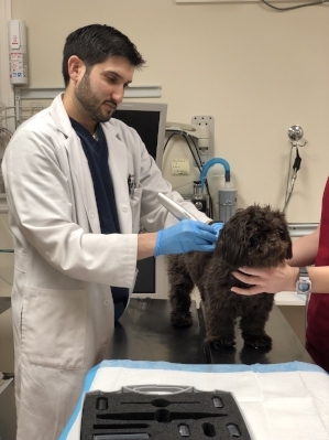 Cryosurgery
