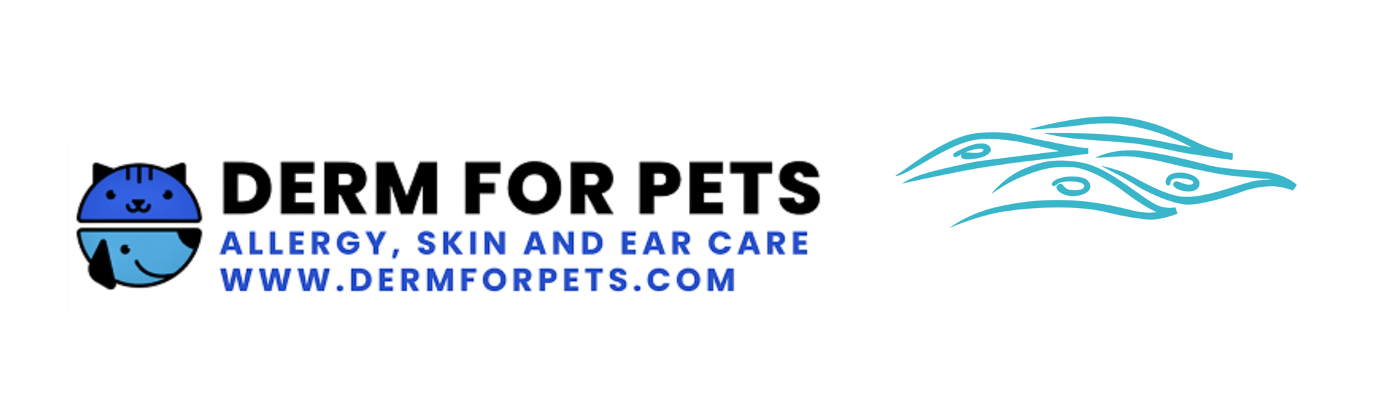 Doylestown Cobranded Logo (1)