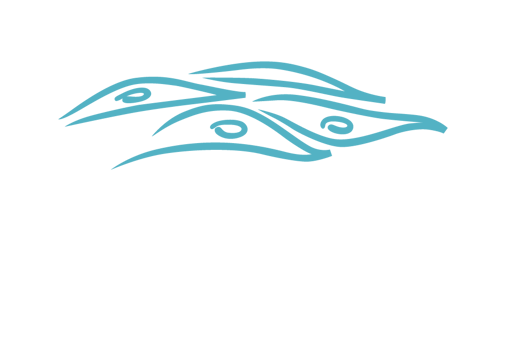 ADC_logo_frisco_whitetext
