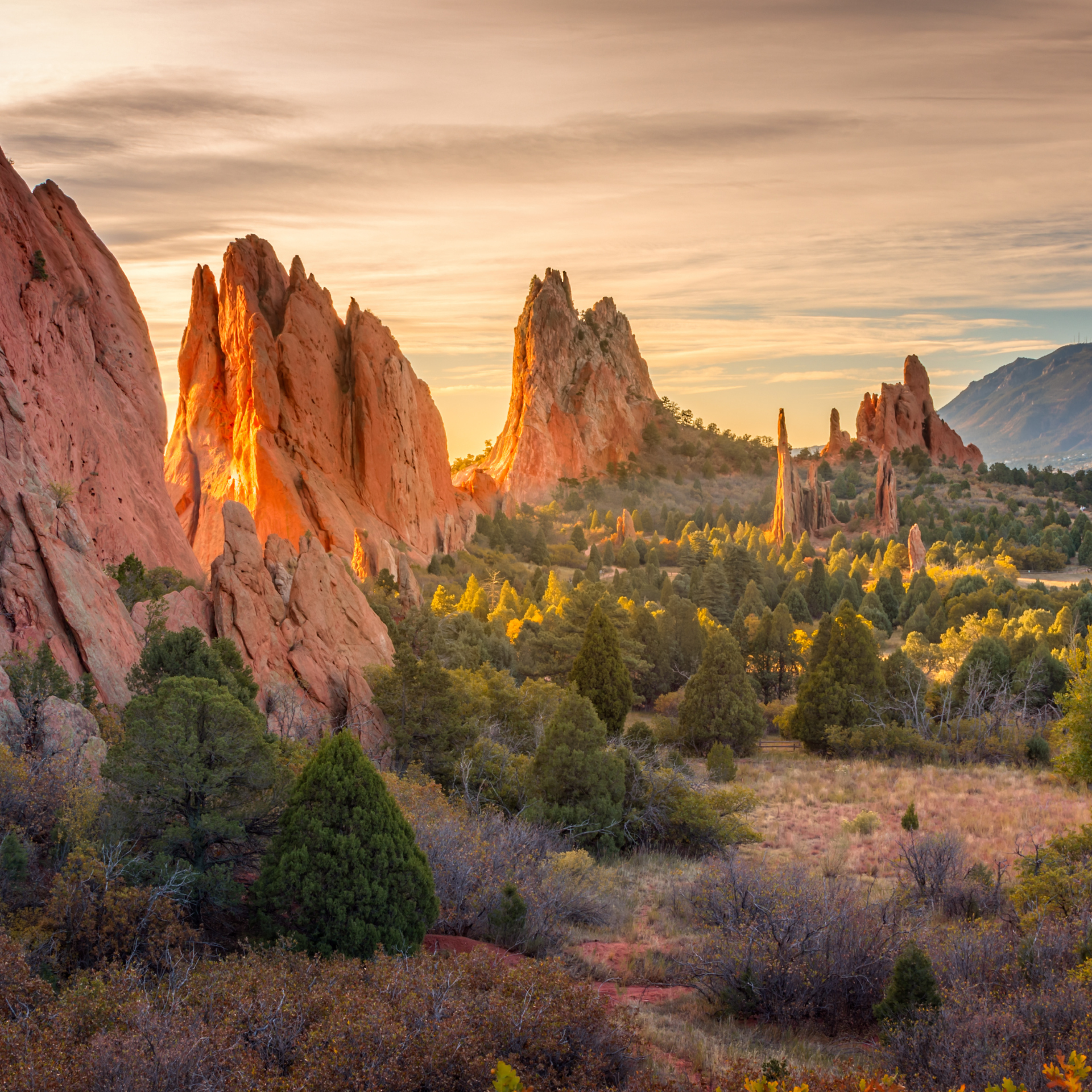 colorado springs-1
