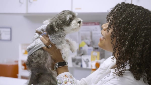 Animal Dermatology Clinic