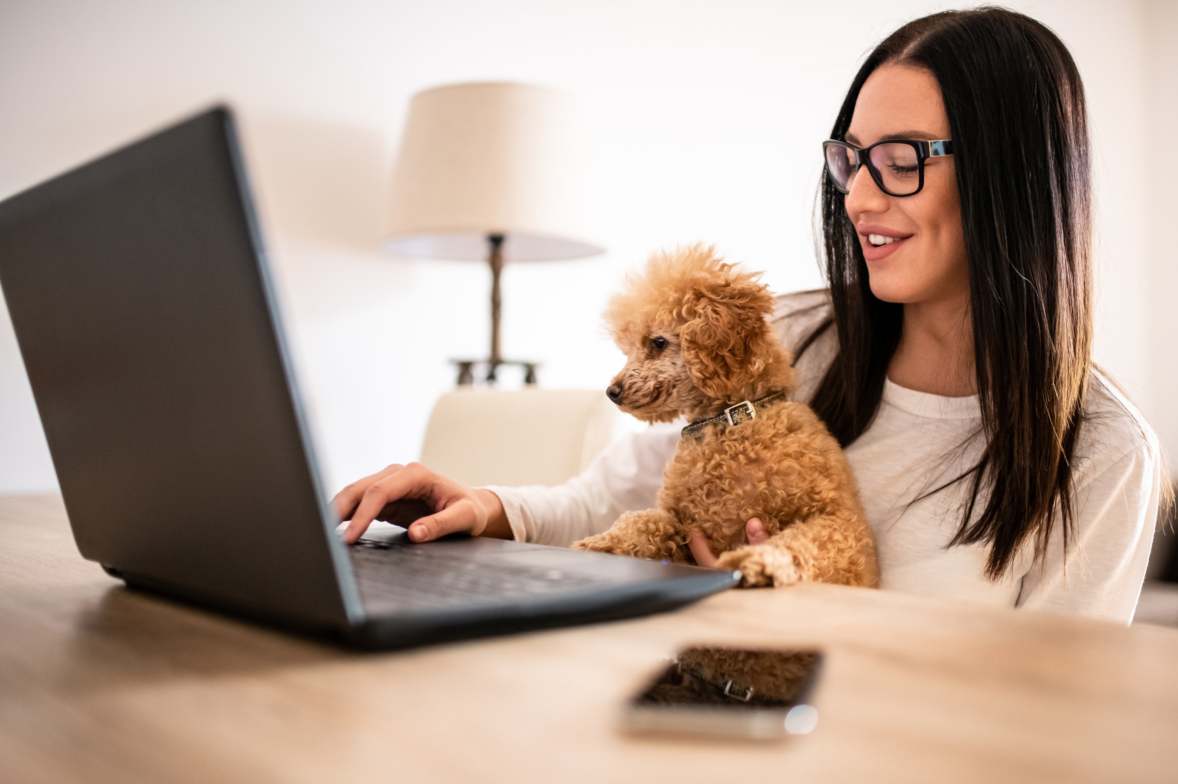 Dog & Owner online shopping